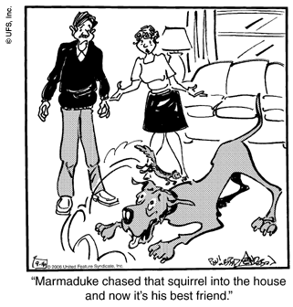 marmaduke